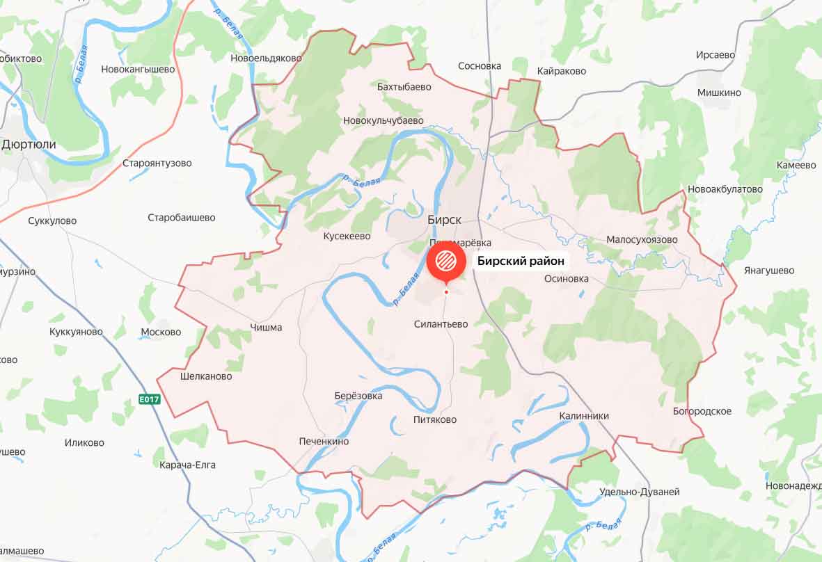 Бирский район 