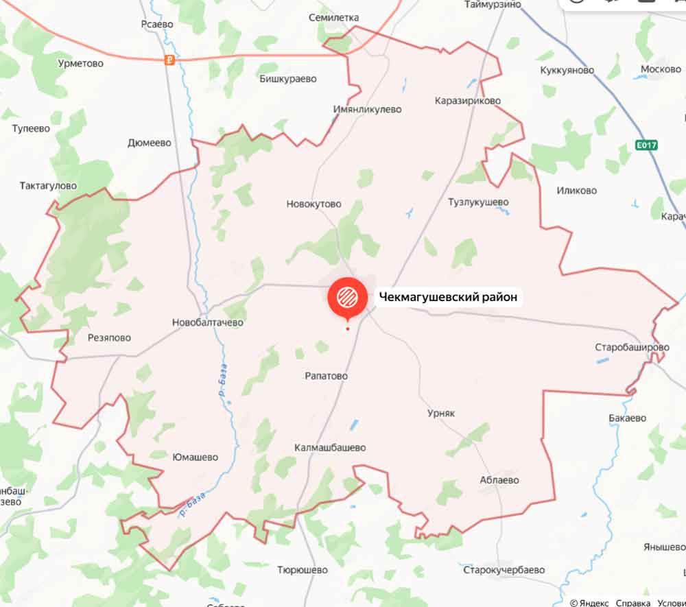 Чекмагушевский район