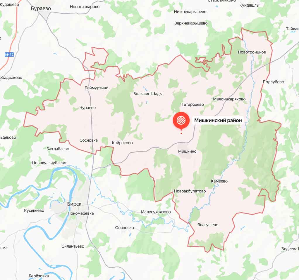 Мишкинский район  