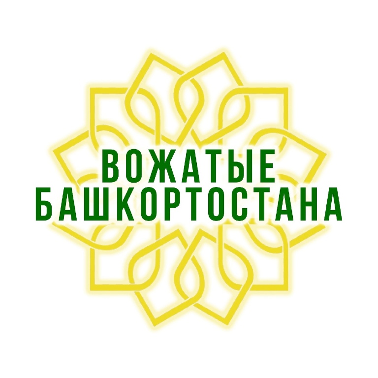 Презентация бренда "Вожатые Башкортостана"
